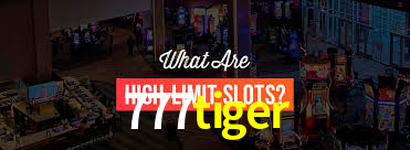 Premium Interface 777tiger